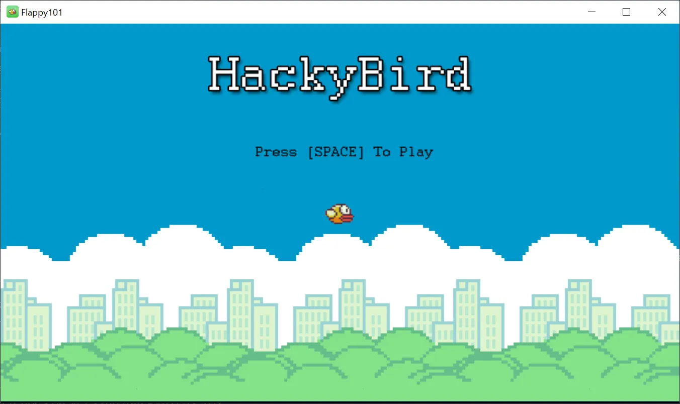 HackyBird-1