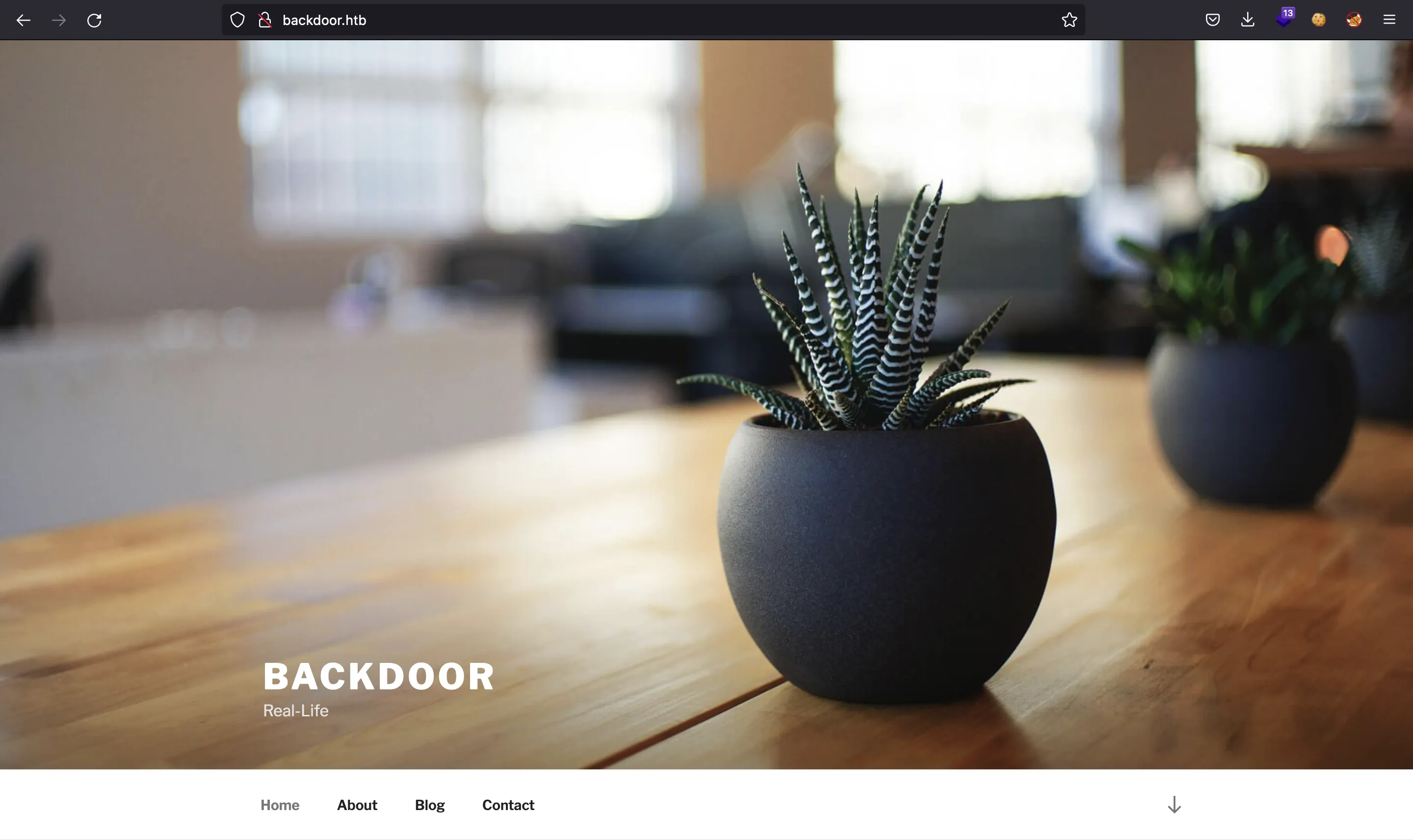 Backdoor WordPress