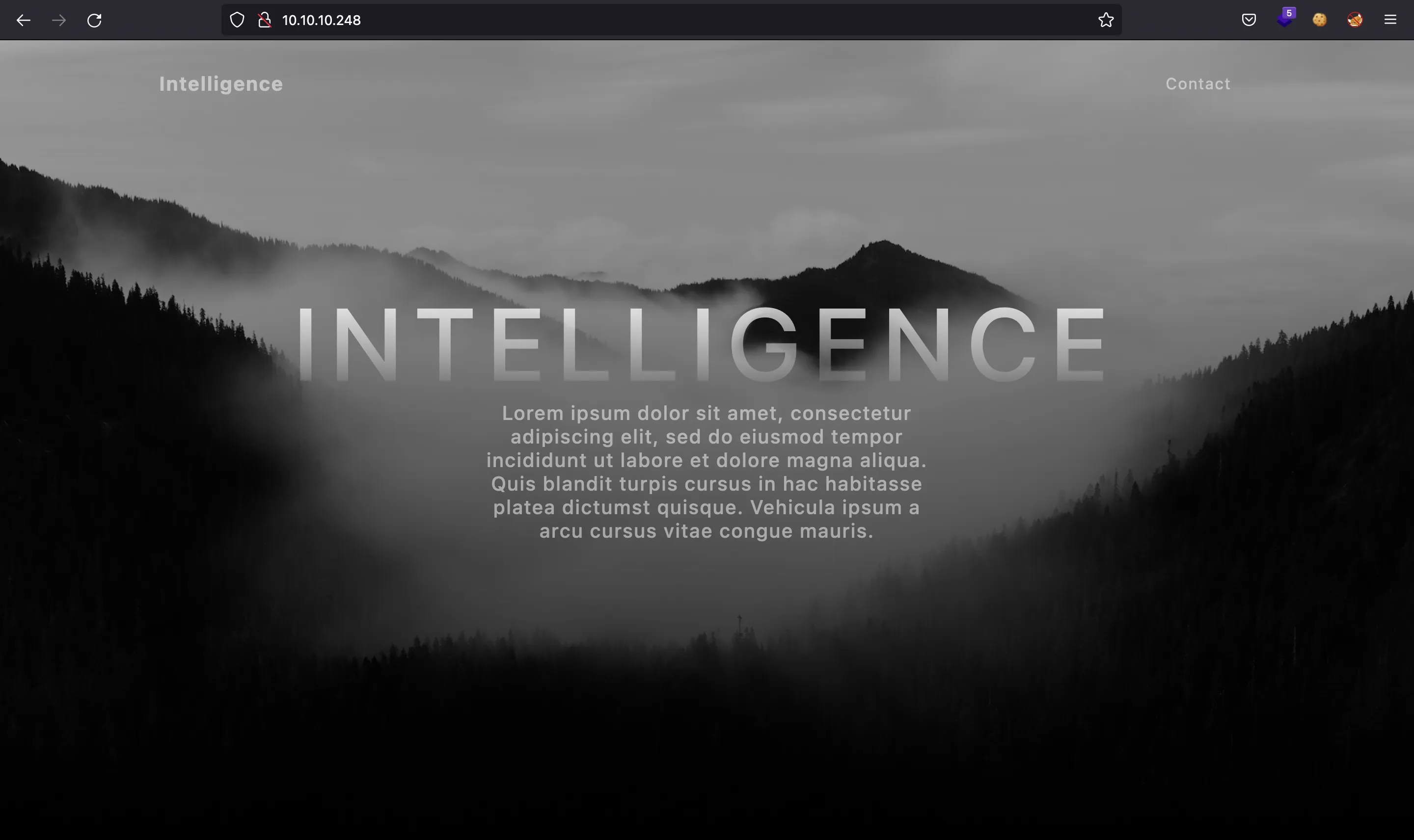 Intelligence web