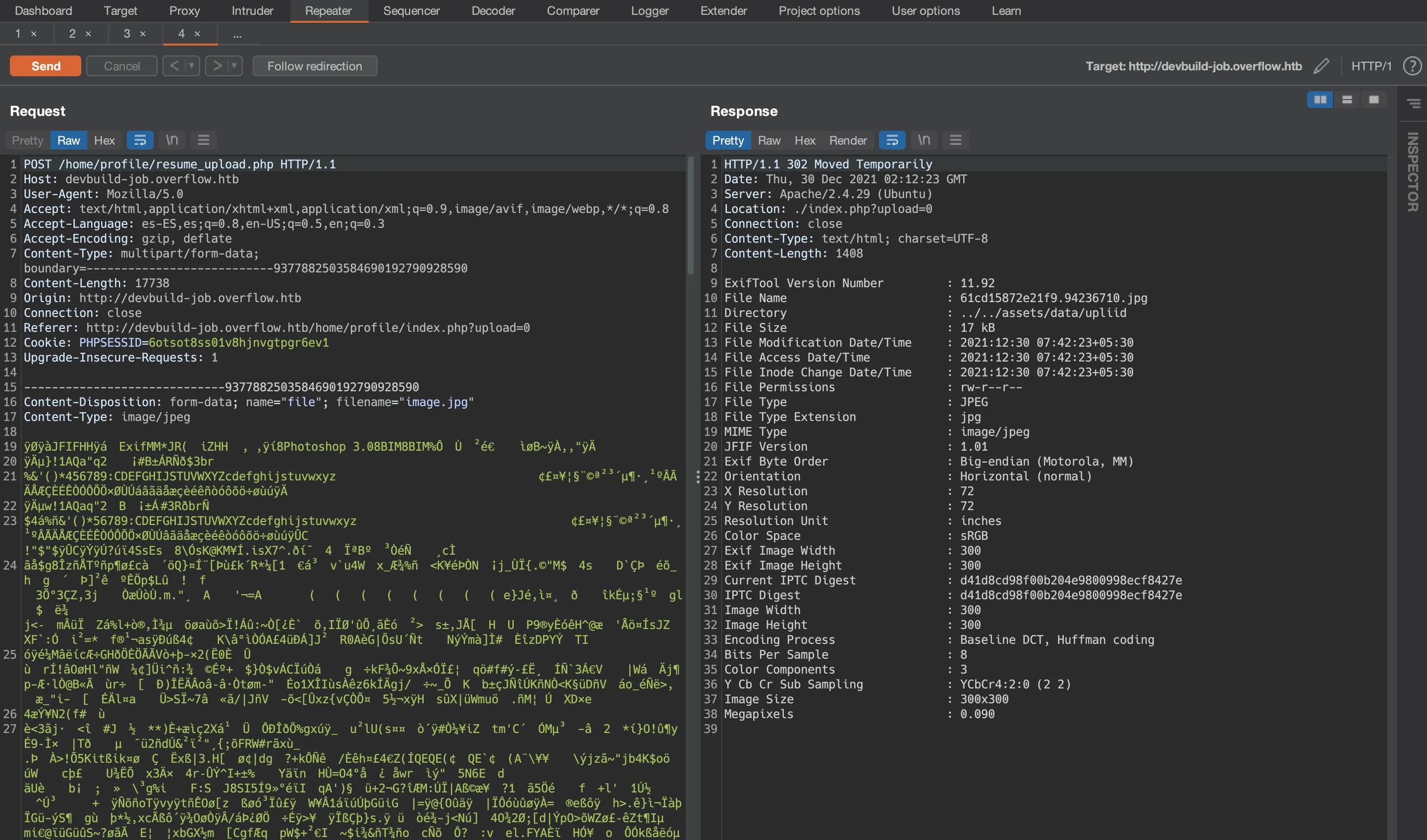 Overflow Burp Suite exiftool